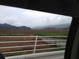 高田松原の風景